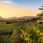 Temecula Wineries & Vineyards