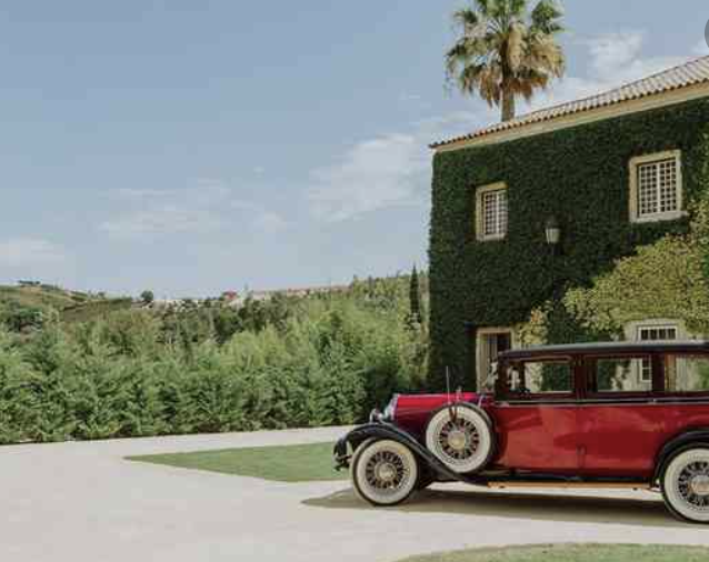 The Wedding Website of Andrea Rego and Taylor Kendrick