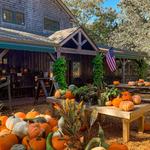 Morning Glory Farm