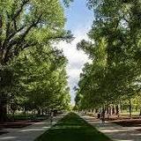 Liberty Park