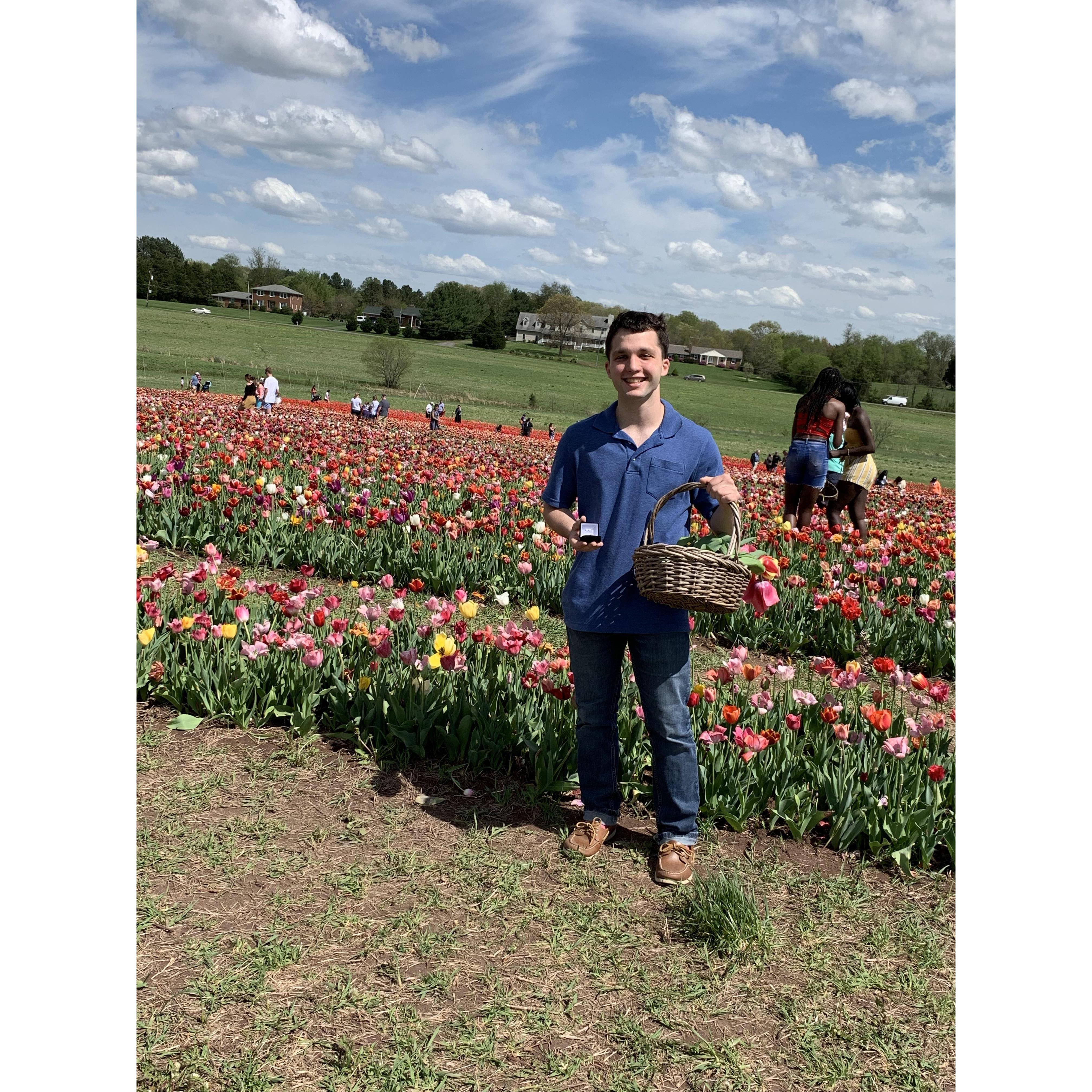 I took this picture of him in front of the tulips and after realizing that he had an engagement ring in his hand!