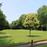 Watertown Golf Club
