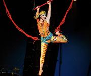 Cirque du Soleil
