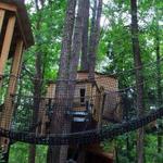 Museum of Life and Science