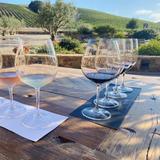 Wineries in Paso Robles
