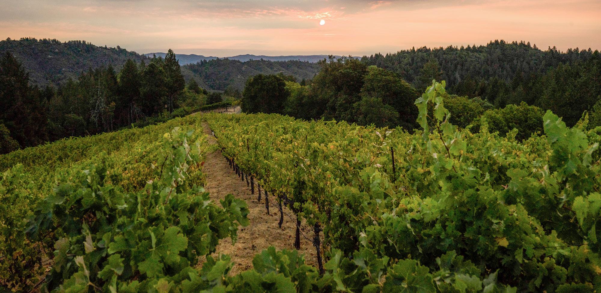 The Wedding Website of Hasmin Torres and Bryce Fogliasso