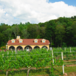 Paradise Hills Vineyard & Winery