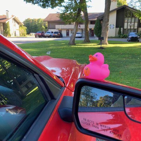 The random Pink duck from Boyne Weekend that Brandon Still keeps in his car