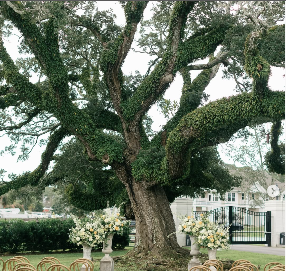The Wedding Website of Reid Obeck and Sarah Brodsky