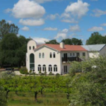 Odyssey Winery & Vineyards