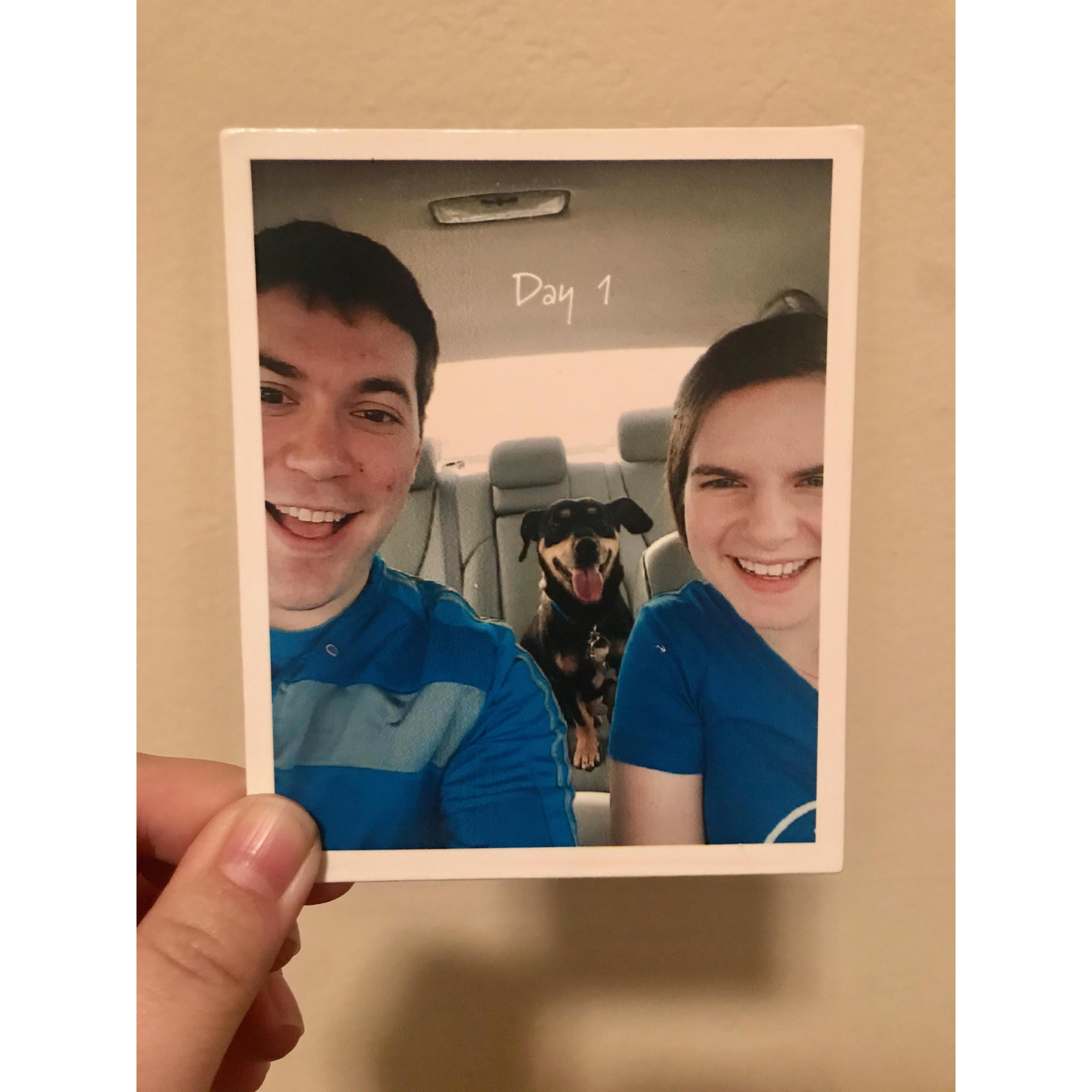 February 6, 2016: the day we adopted our baby Kacey!