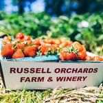 Russell Orchards