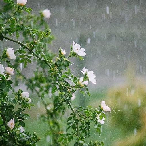 Our Rainy Day Reserve