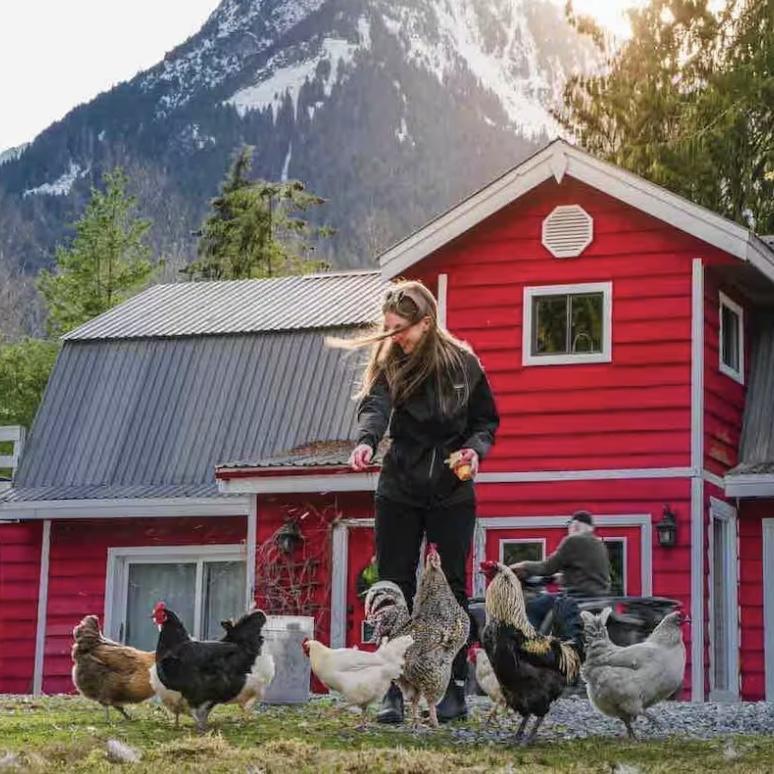 Cupcake House - an AirBnB hosted by the same family, about 5-10 minutes down the road.