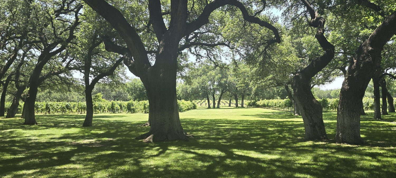 The Wedding Website of Kory Grant and Brenda Gonzalez