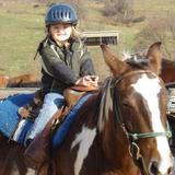 Shenandoah Riding Center