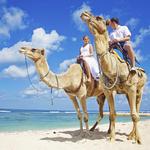 Camel Outback Adventure