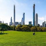 Sheep Meadow