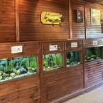Cold Spring Harbor Fish Hatchery & Aquarium