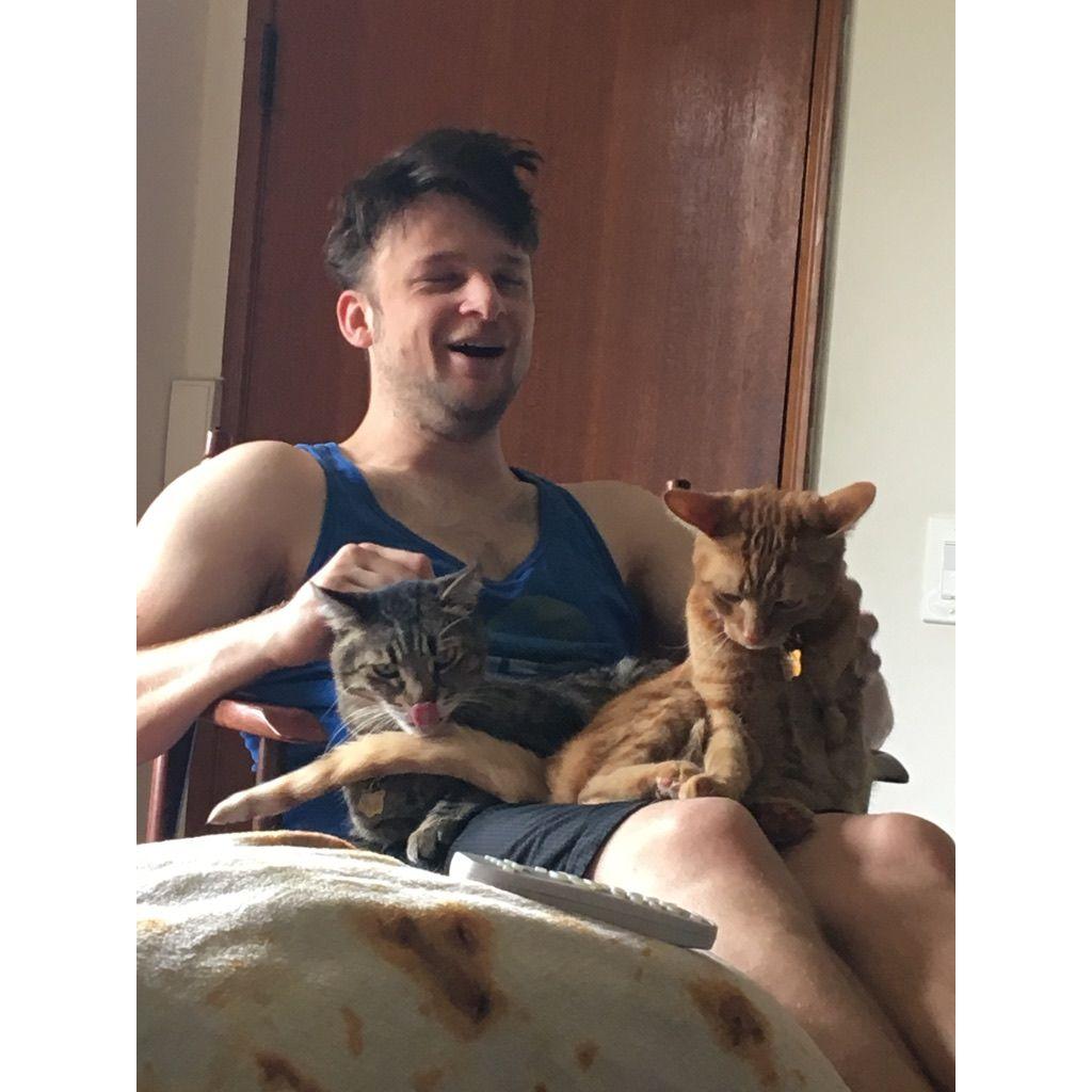 Cats moving into Lemp Lot