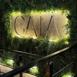Gaia Ristorante