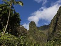 Iao Valley State Park.  Friday day hike, leaving hotel @ 10:00 am
