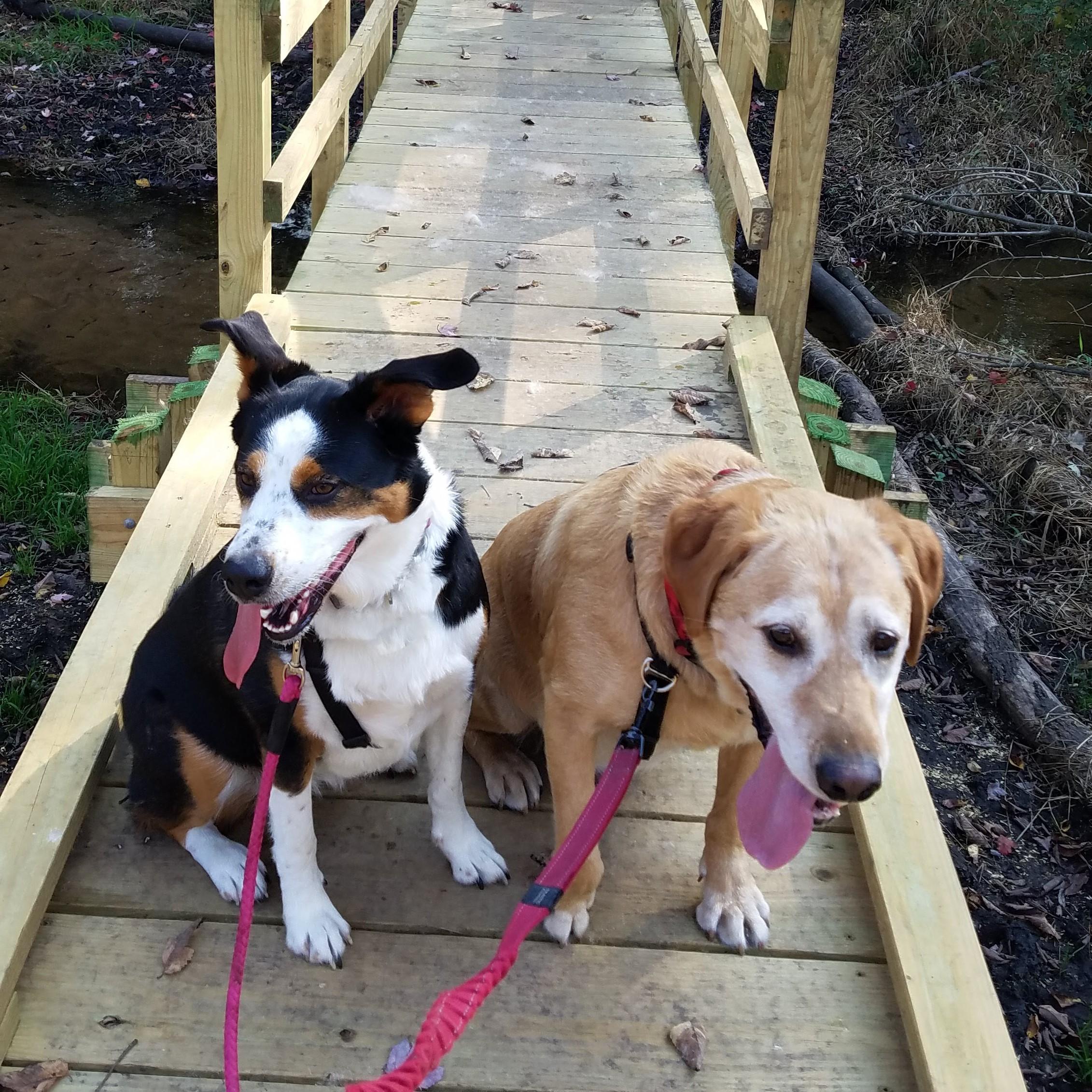 Ice Age Trail, Wisconsin, October 2021