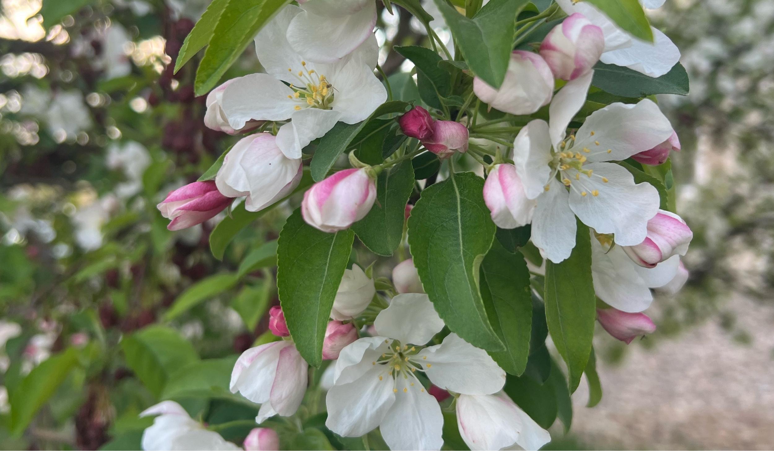 4e3bb254-8cb6-4ff2-8ddb-f5398e510e12