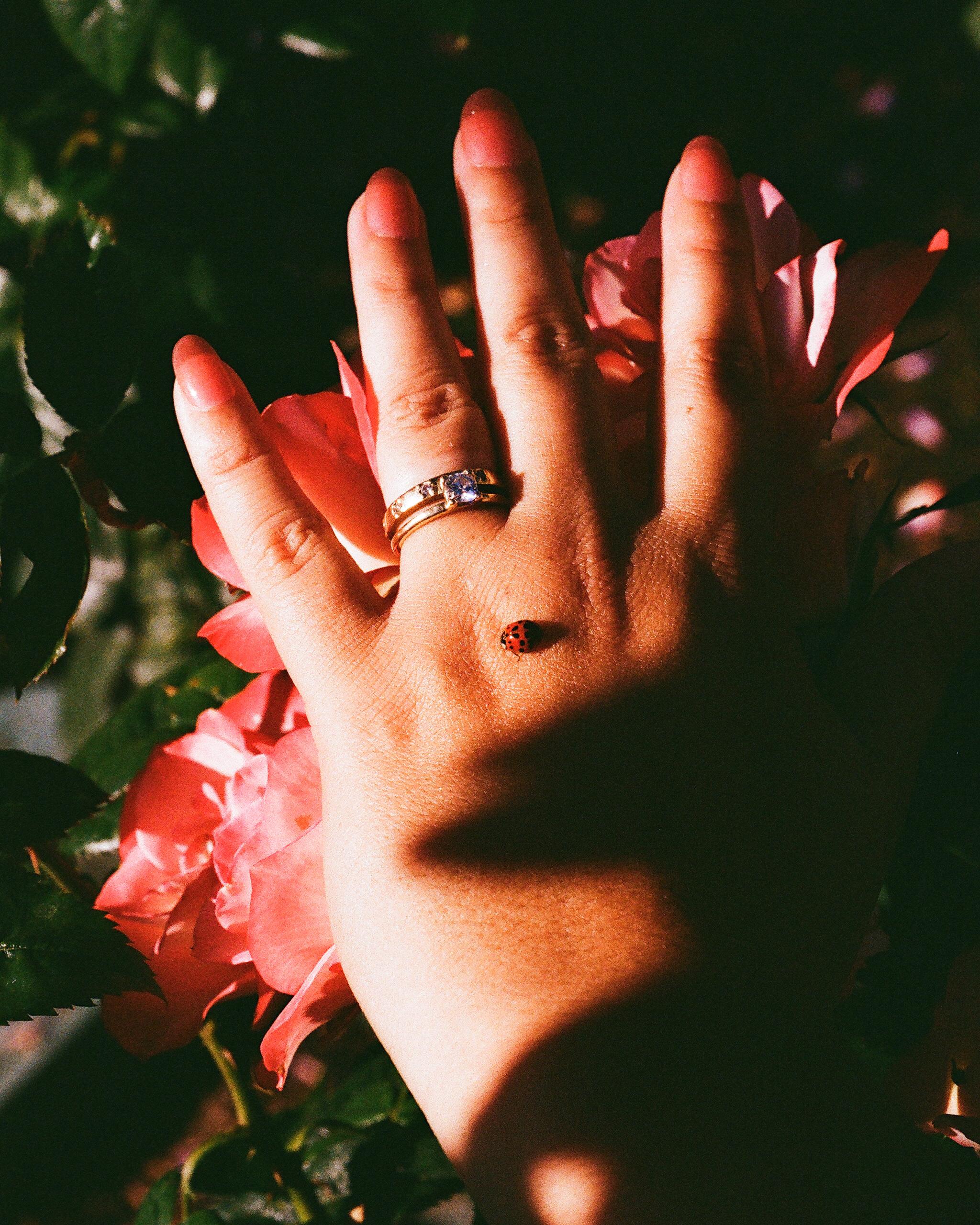 The Wedding Website of Sam Chavez and Corey Ripplinger