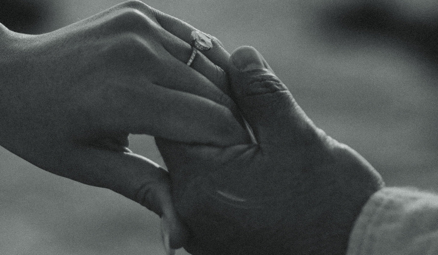 The Wedding Website of Sarah Habash and Anthony Vazquez