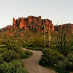 Lost Dutchman State Park Hiking Trails