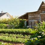 Red Acre Farm