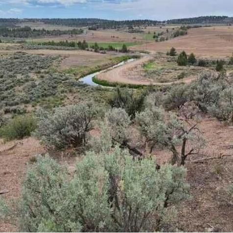 The Shimer Family Ranch canal.