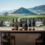 Edna Valley Vineyard