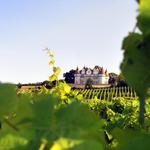 Bergerac & Duras Wineries