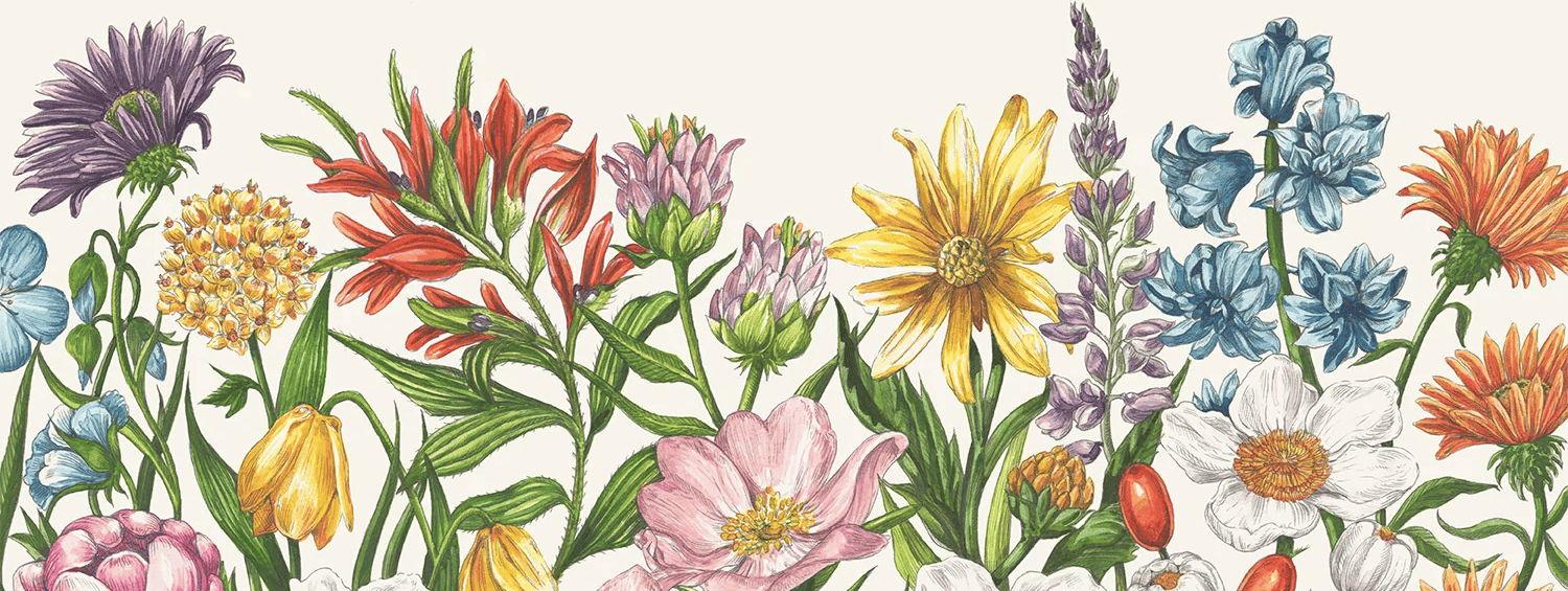 The Wedding Website of Savannah Harley and Dallas Flowers
