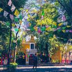 Coyoacan