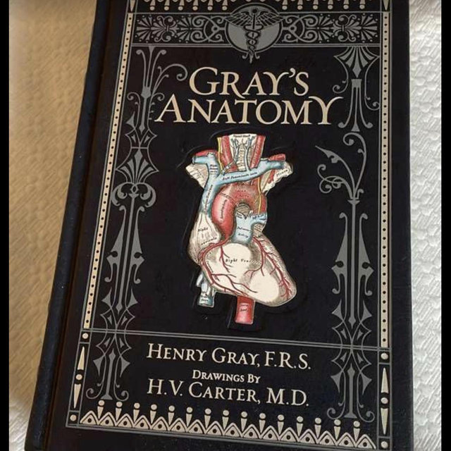 Gray’s Anatomy (The real thing)