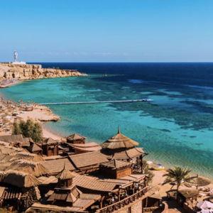 1 Night on the Red Sea