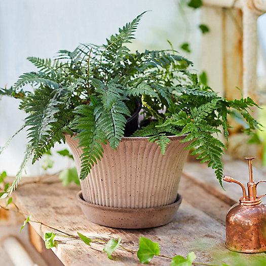 Bergs Fluted Pot + Saucer Set (S in terracotta)