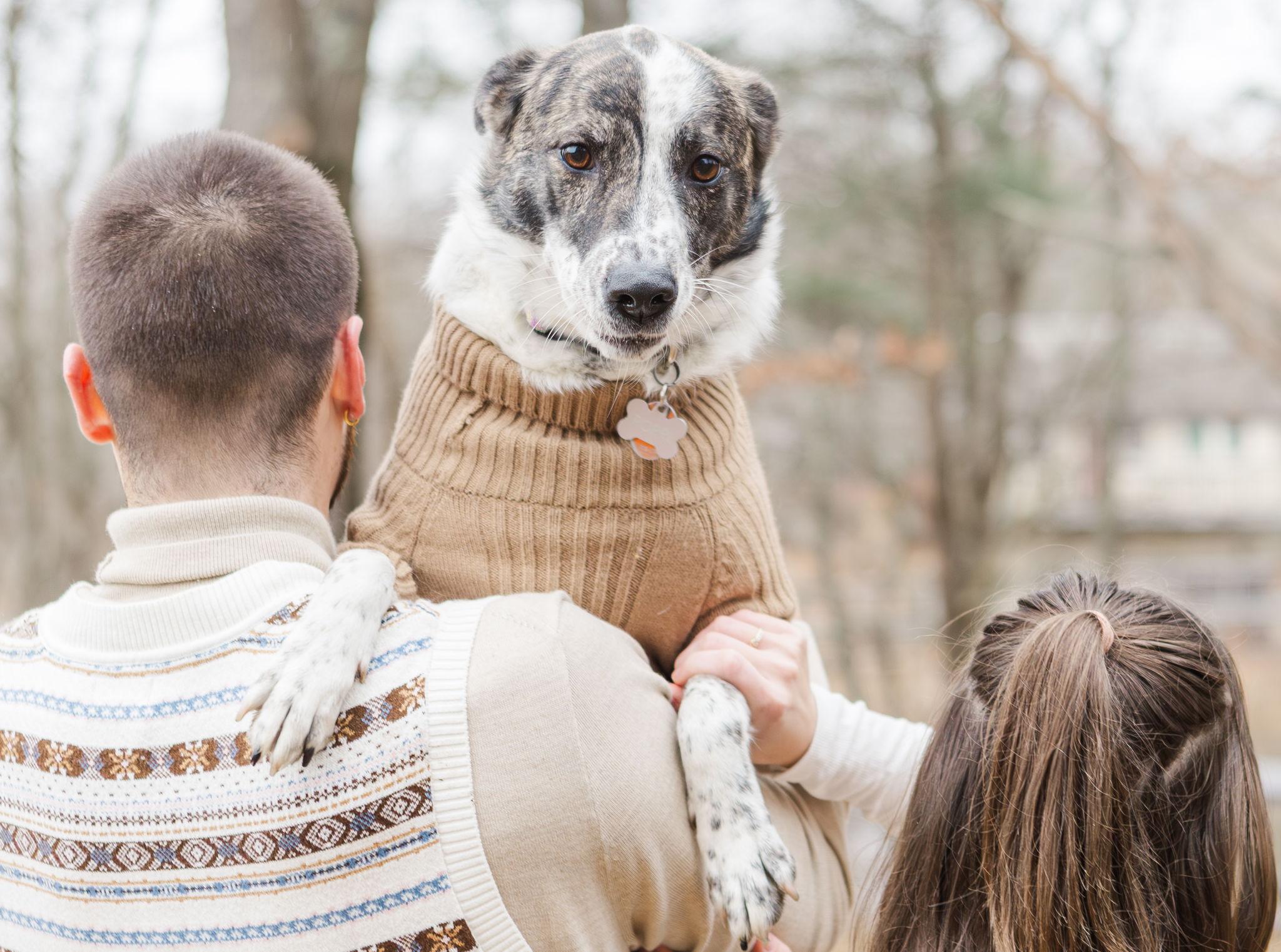 4e490a85-8718-4f25-a231-144afe91f3a1