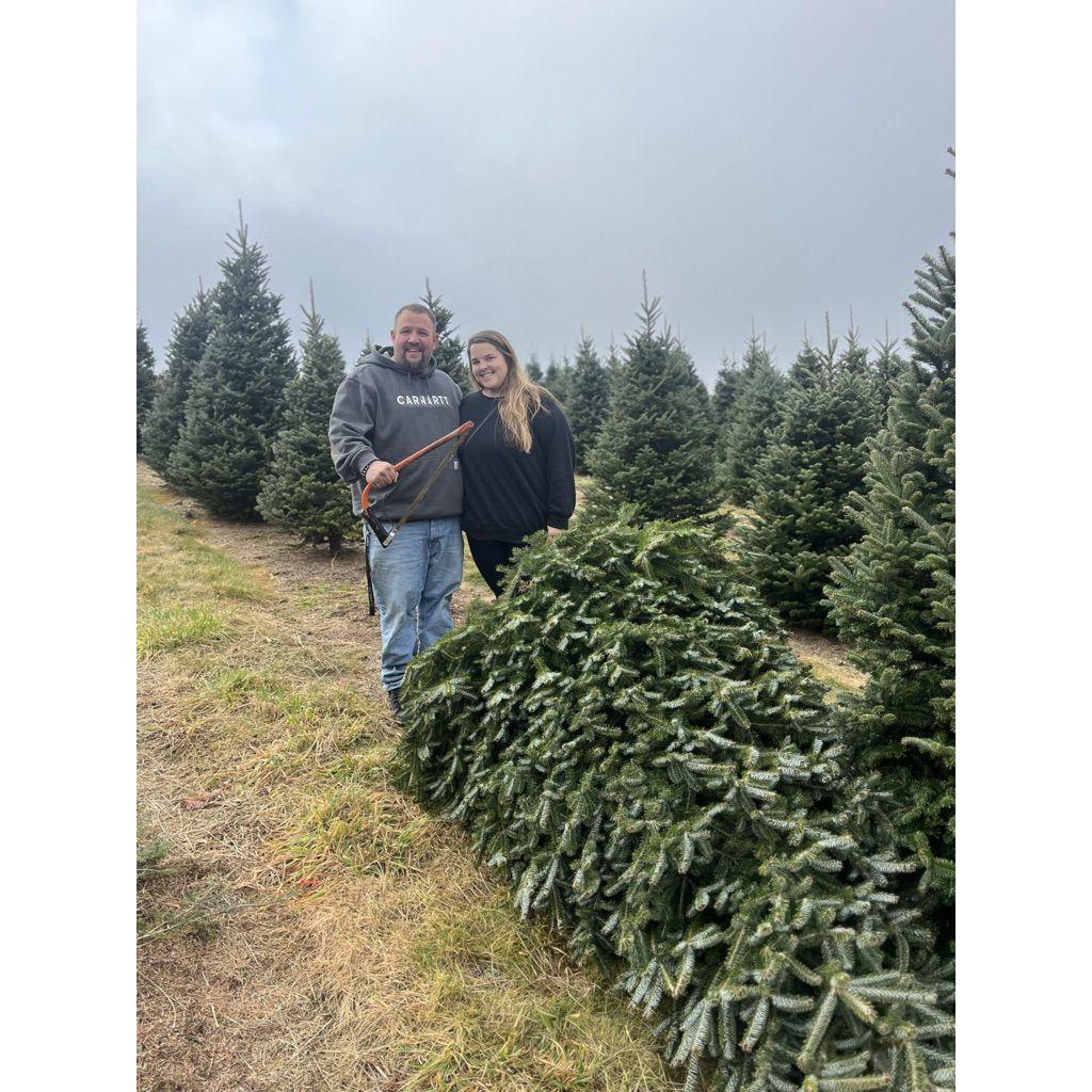 Cutting down our Christmas Tree