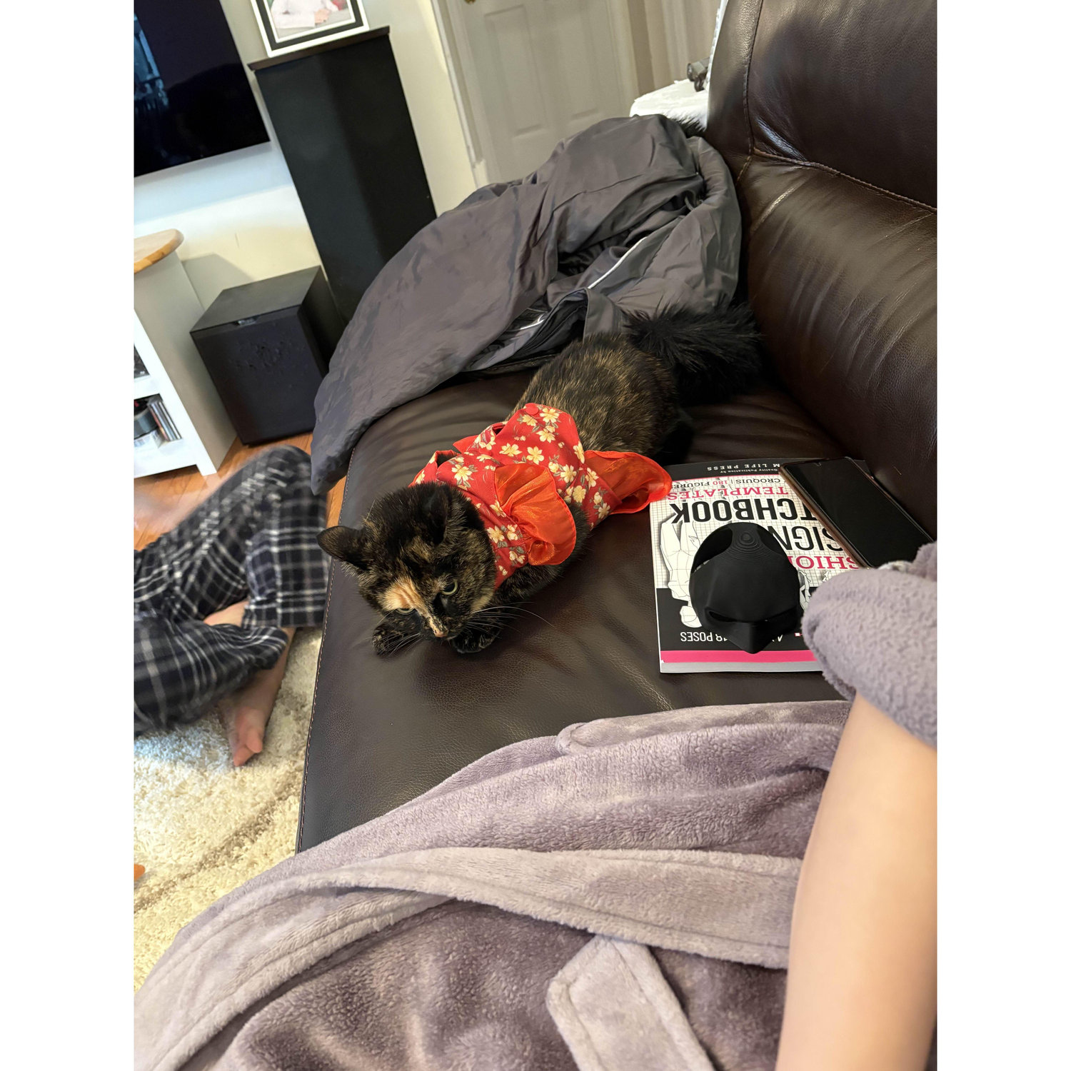 Pissed off cat in a pretty Áo dài. Sorry Heidi, you will wear it again.