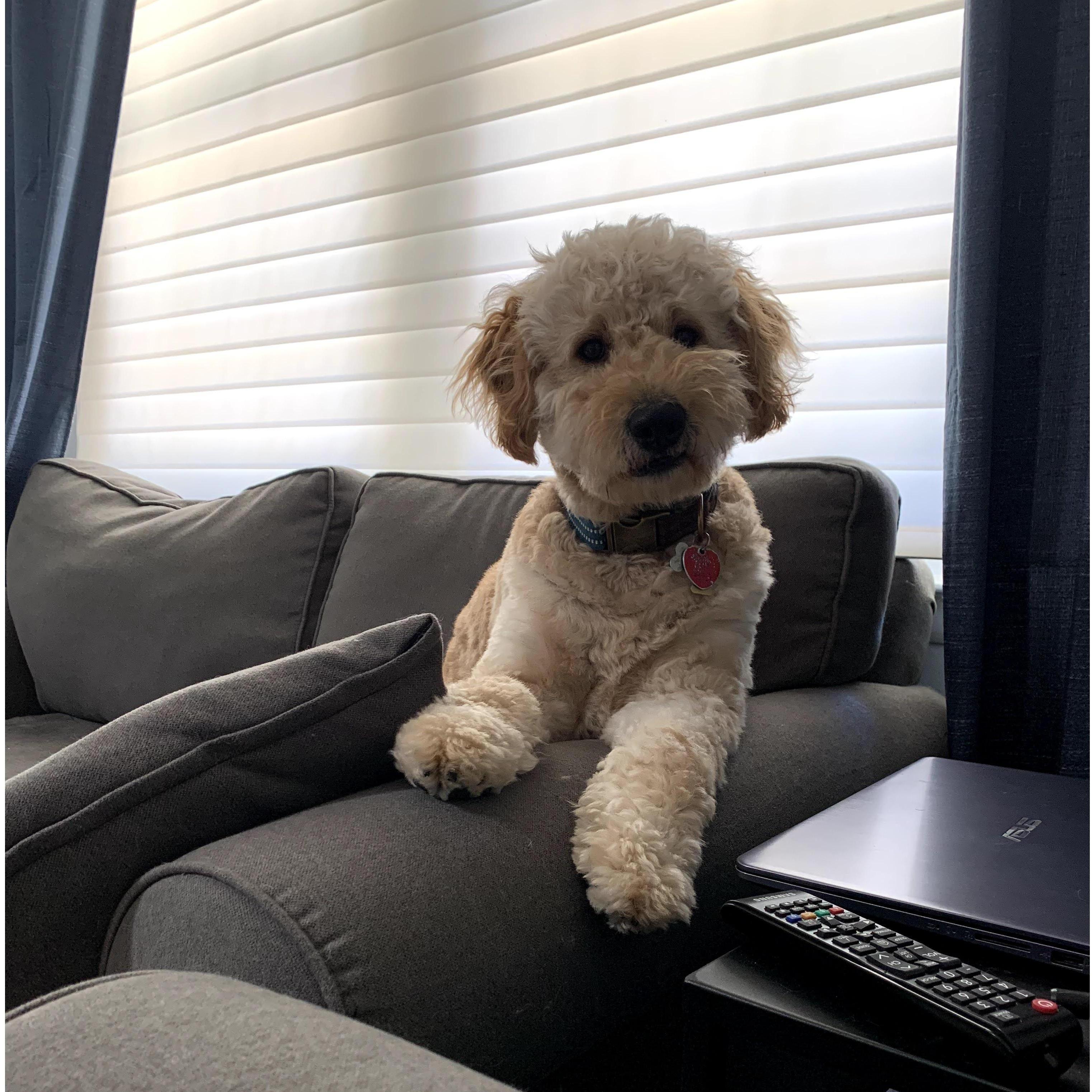 What do you mean I don't get to come?