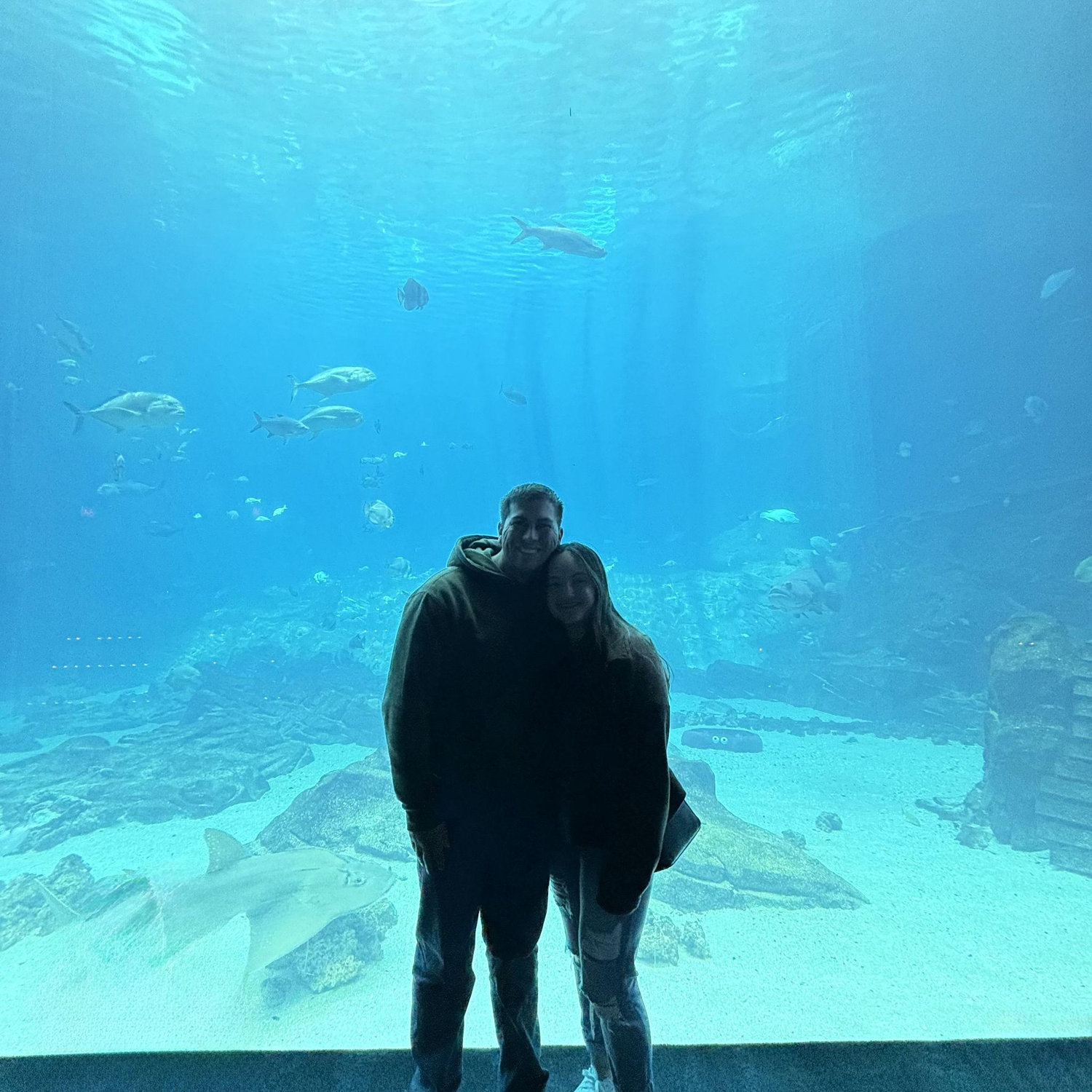 Georgia Aquarium