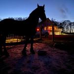 Canyon Creek Horseback Riding Stable