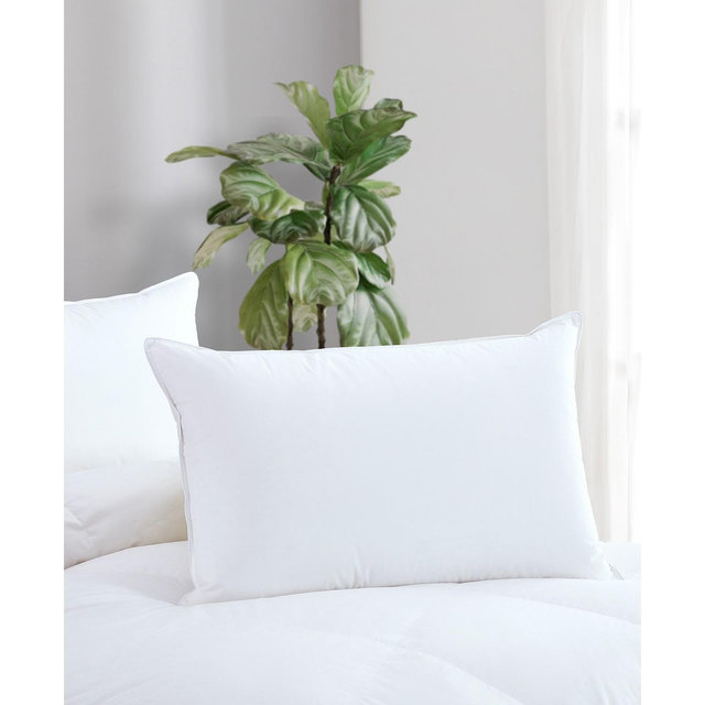Avocado 100% Cotton Cover Down Pillow, Queen