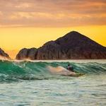 Hit the Surf