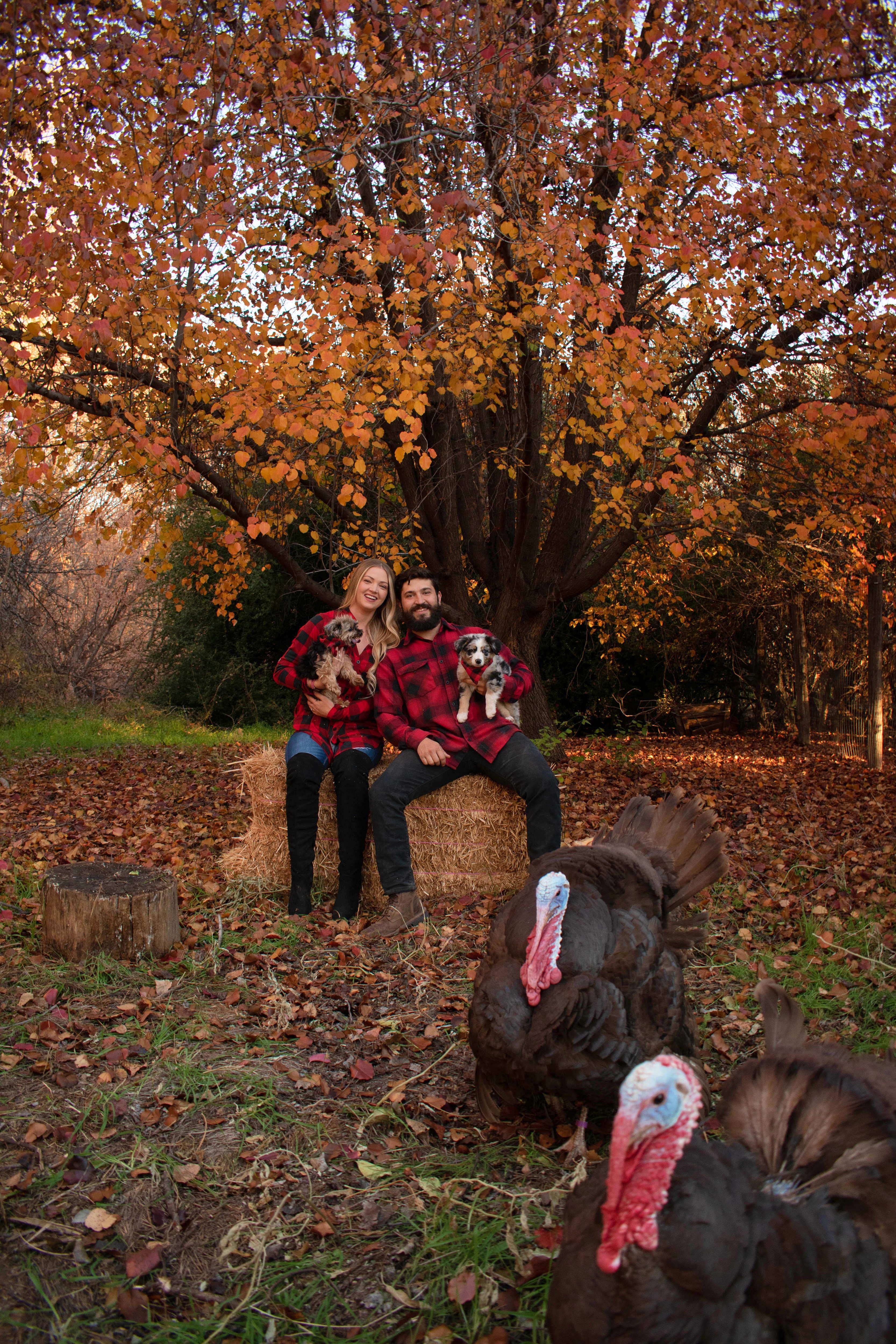 The Wedding Website of Chelsea Mellor and Lennon Gregory