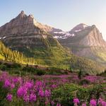 Glacier National Park